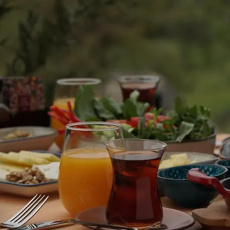 Mons Casa Boutique Muğla